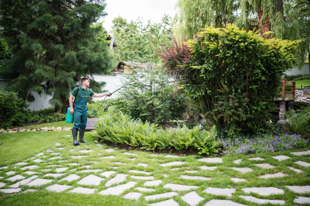 Best Best Pest Control Companies  in North Mankato, MN
