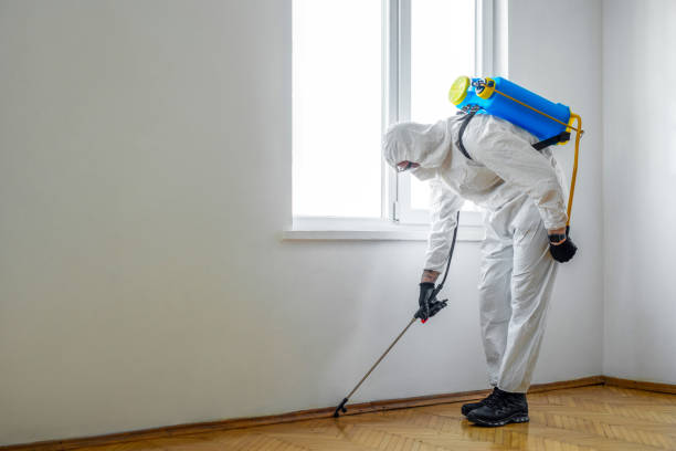 Best Bed Bug Extermination  in North Mankato, MN