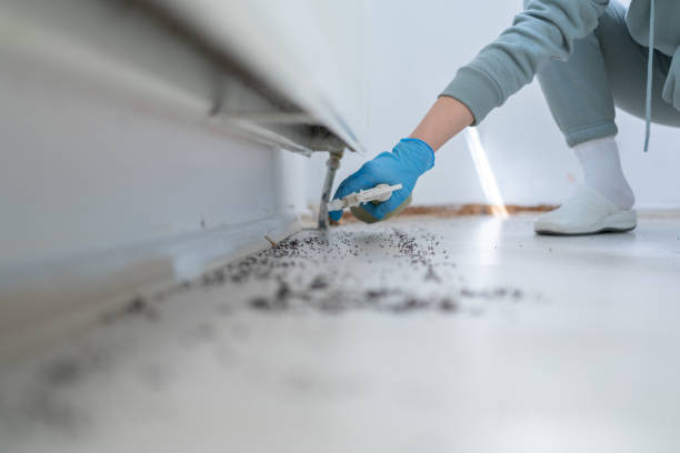 Best Emergency Pest Control  in North Mankato, MN