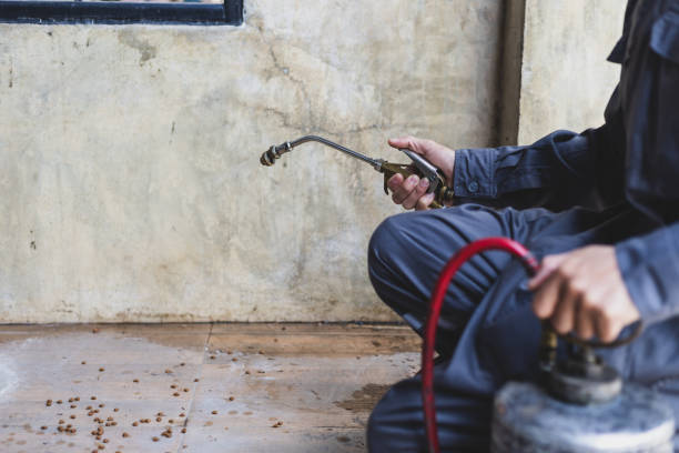 Best Pest Control for Homes  in North Mankato, MN