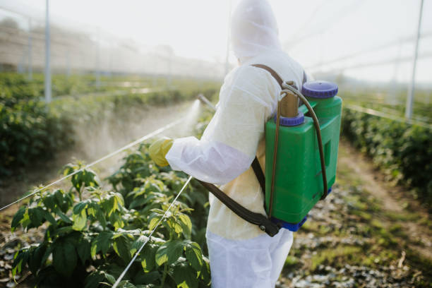 Best Pest Prevention Services  in North Mankato, MN
